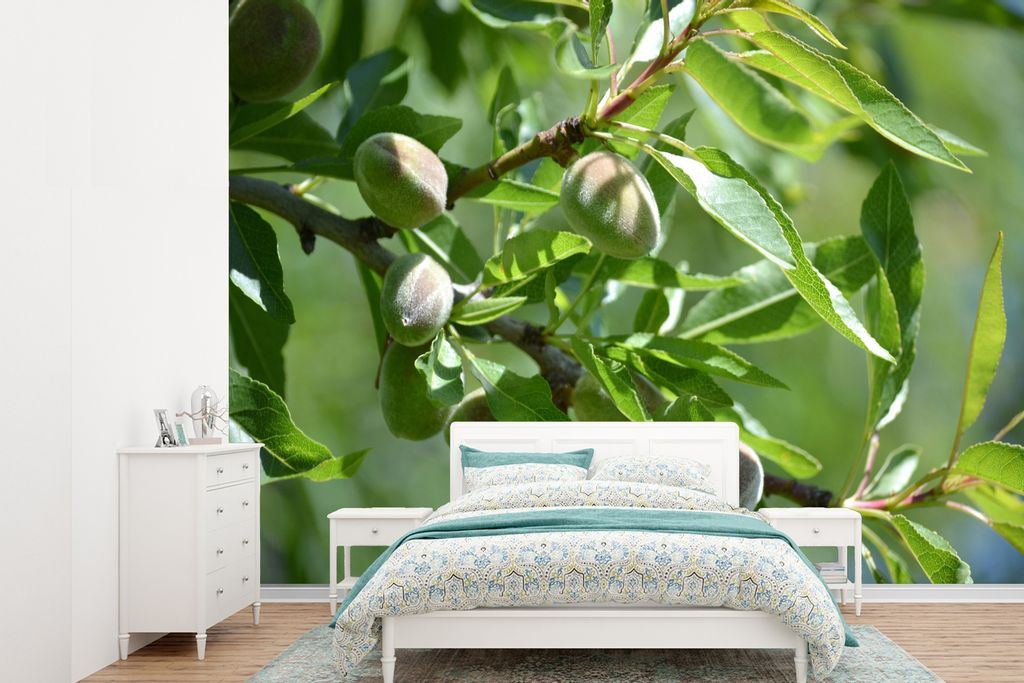 MuchoWow Fototapete für Wohnzimmer oder Schlafzimmer Wandtapete Vinyl Motivtapete Mandelnüsse - 385x280 cm - Wallpaper