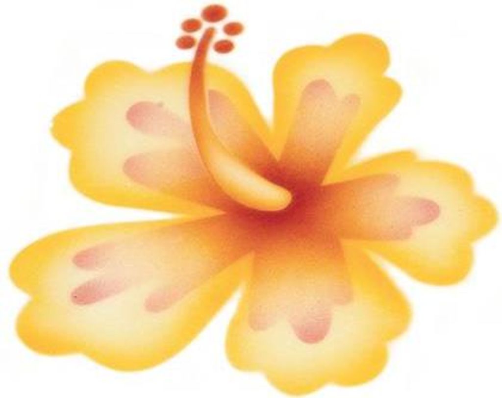 Airbrush Schablone Hibiskus