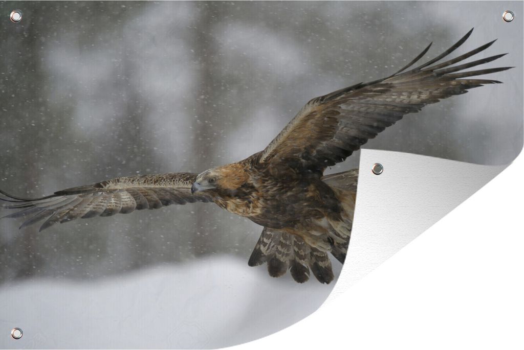 MuchoWow 60x40 cm Outdoor-Poster Gartendeko Sichtschutz Garten Poster für den Garten Steinadler im Flug über eine Winterlandschaft