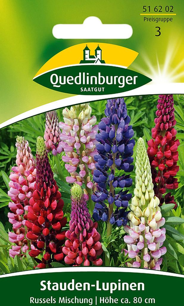 Quedlinburger Stauden-Lupinen Russels Mischung - Produktbild 