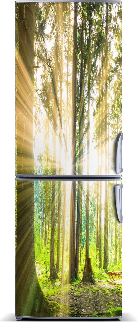 Tulup Kühlschrankdekoration - Magnetmatte - 70 cm x 190 cm - Magnet auf dem Kühlschrank - Sun Im Wald