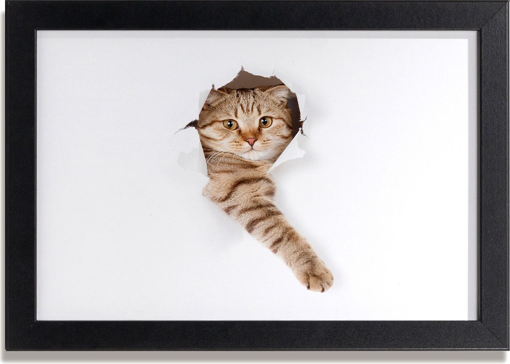 Bild 30x20 MDF-Rahmen, Wandkunst Katze