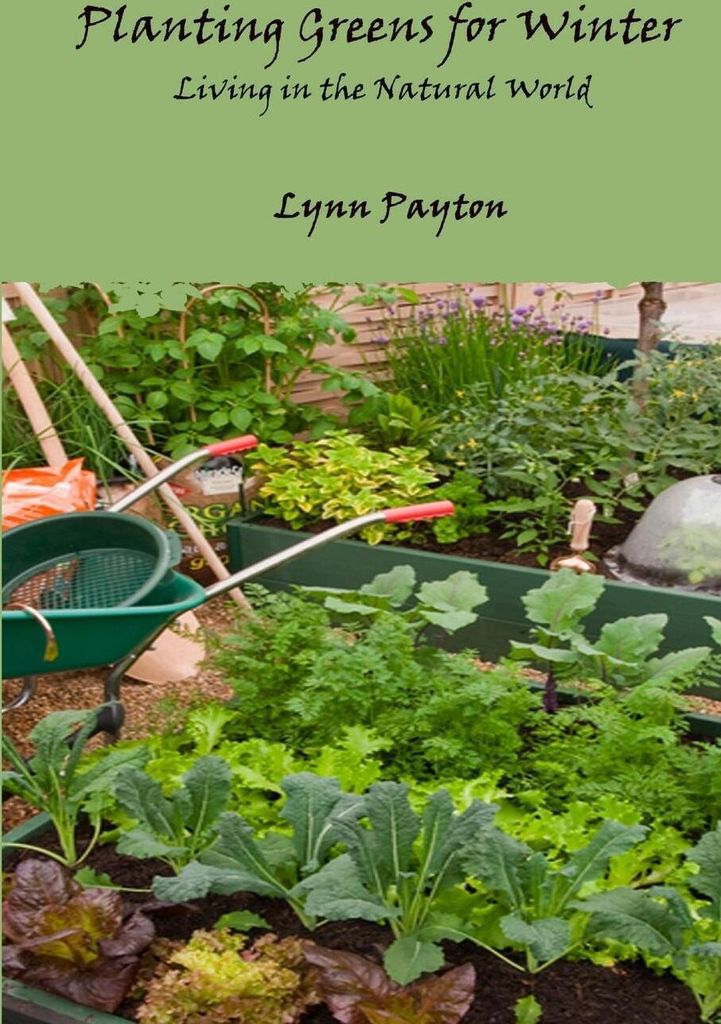 Planting Greens for Winter
