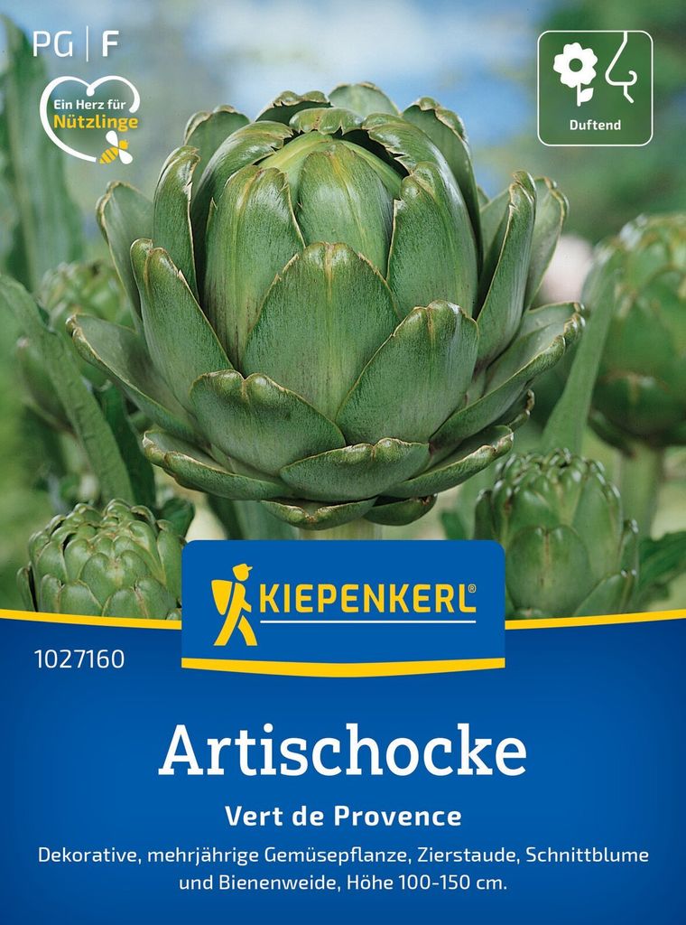 Kiepenkerl Artischockensamen Vert de Provence Cynara cardunculus 35 Pflanzen