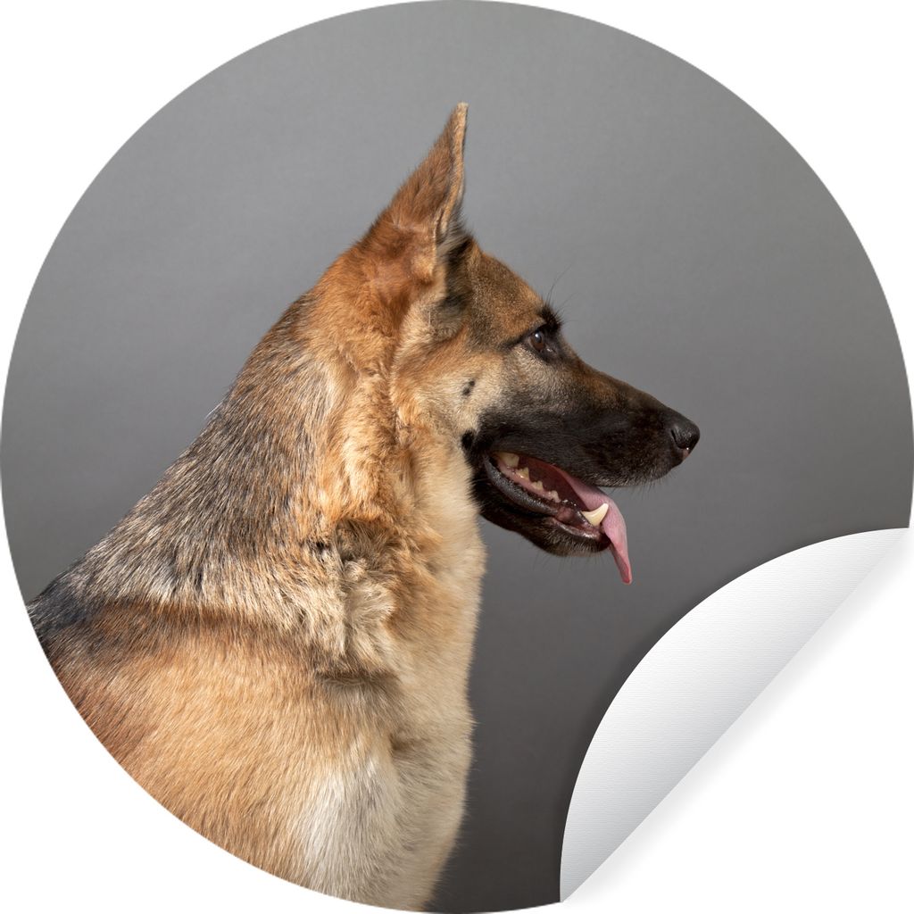 MuchoWow - Wandbild - Fototapete - Selbstklebend - Dekoration - Wandschmuck - Schlafzimmer