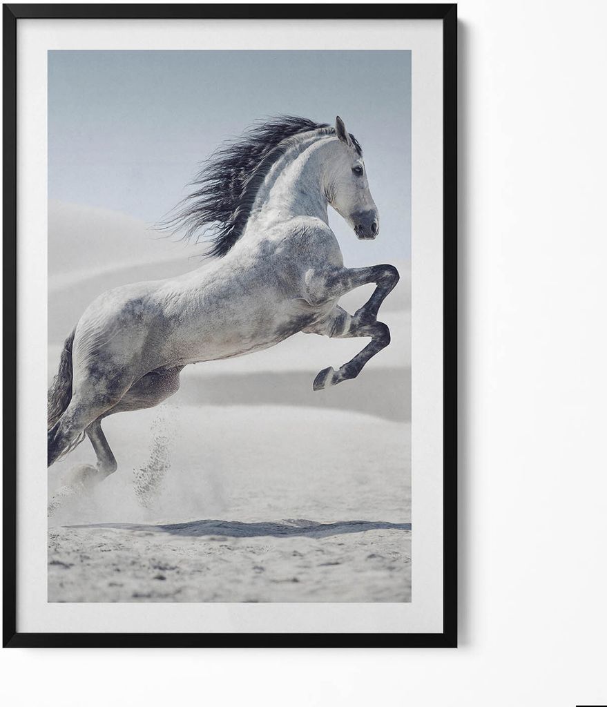 Galoppierendes weißes Pferd– Wandbild mit Rahmen – Gerahmtes Bild – Wanddekoration – 70x100 cm – Schwarz Rahmen