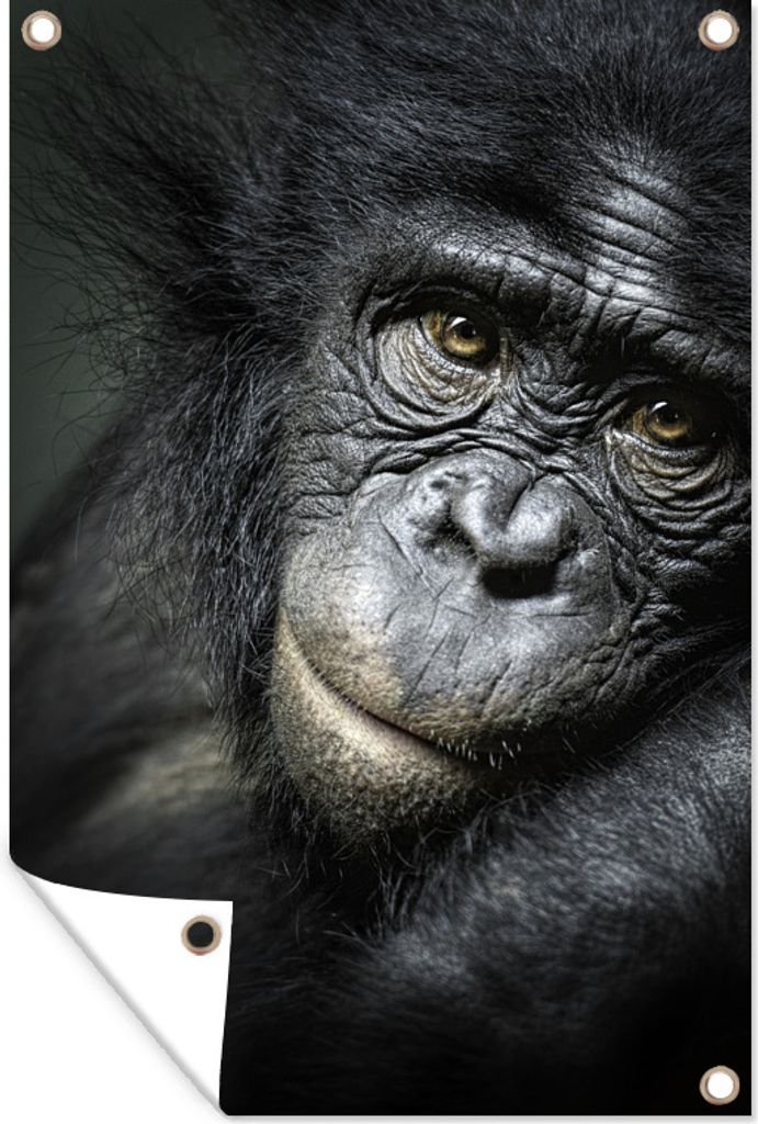MuchoWow 40x60 cm Outdoor-Poster Gartendeko Sichtschutz Garten Poster für den Garten Schimpanse aus nächster Nähe