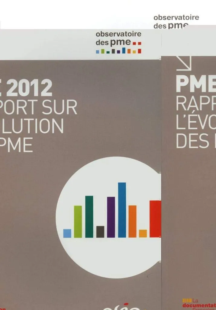 Livre Économique PME 2012 : Rapport Complet sur l'Évolution Industrielle