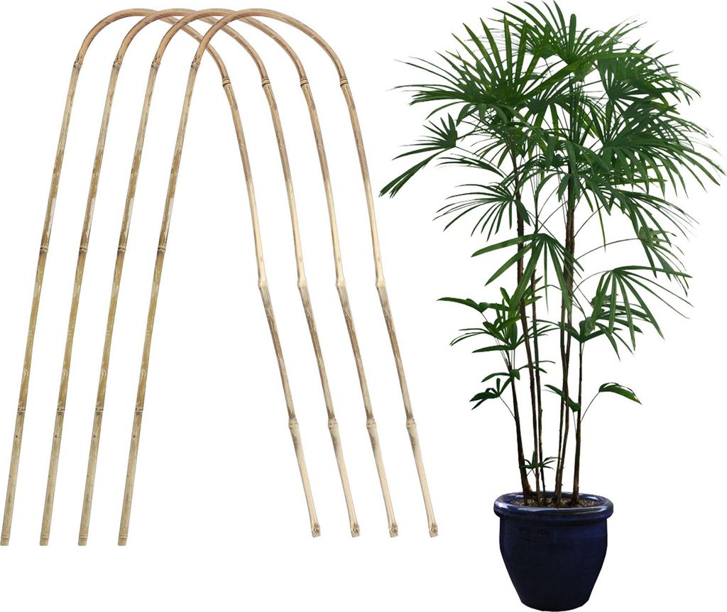 Plant Trellis Stylish Bamboo Climbing Plant Trellis for Home Garden Topfpflanze