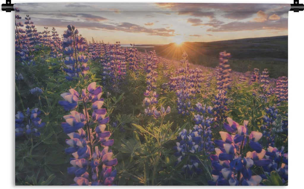 MuchoWow Wandteppich Wandbehang Lupine - Sonne - Lila 60x40 cm Tapisserie Dekoration Wandtuch - Wanddekorationen