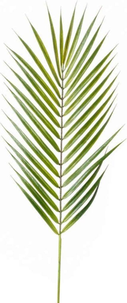 künstliches Blatt, Palmblatt, Zweig, Chamaedorea grün 75cm Emerald Blätterzweig
