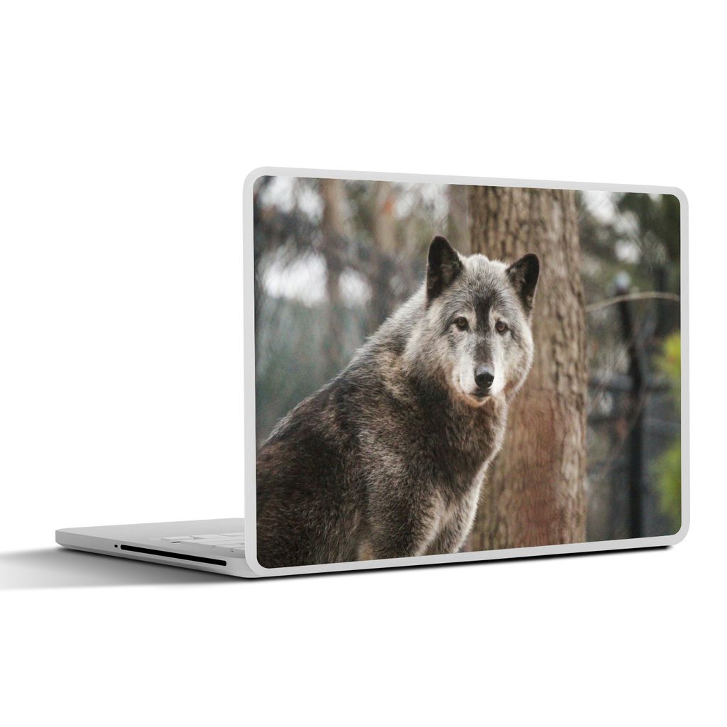 MuchoWow Laptop Aufkleber Sticker Cover Wolf - Wald - Baum 31x22.5 cm - Laptop-Deko