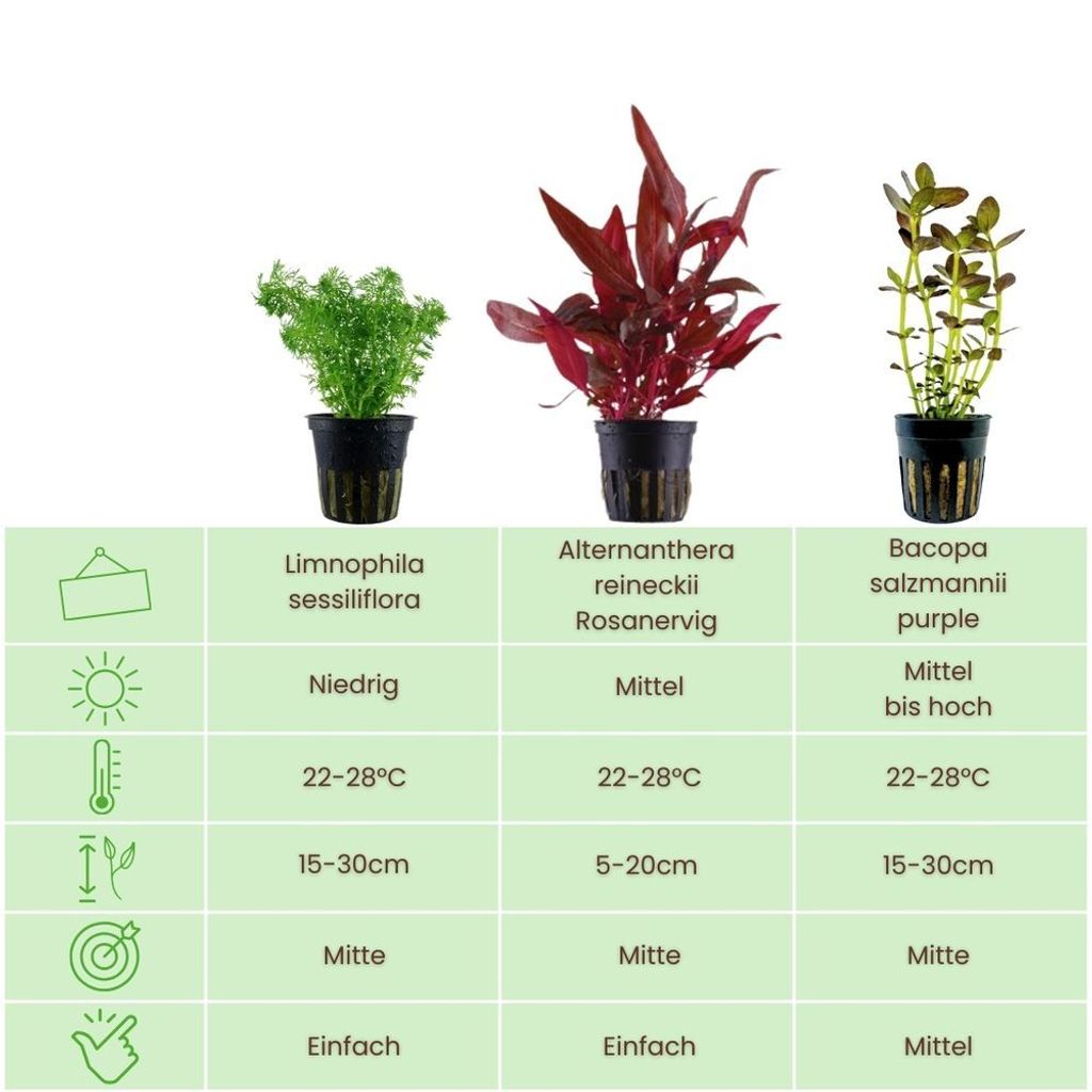 butlers blumenkasten NEW GARDENING Pflanzenkasten online kaufen ✨ – BUTLERS main image 1