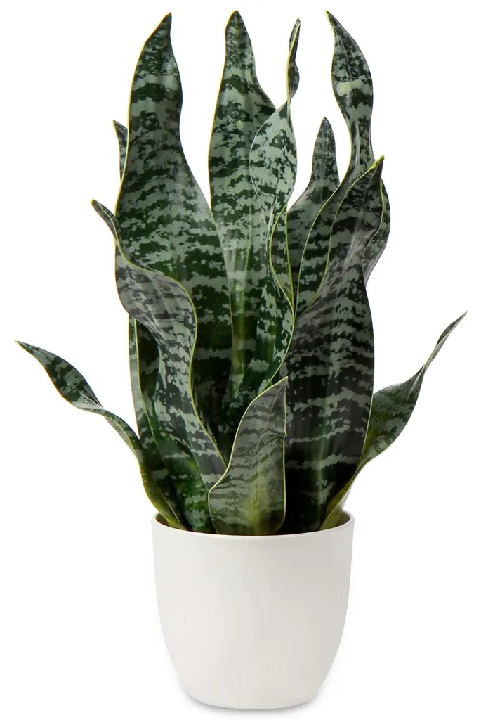 Plante d'intérieur artificielle : Sansevieria 42 cm décoration verte