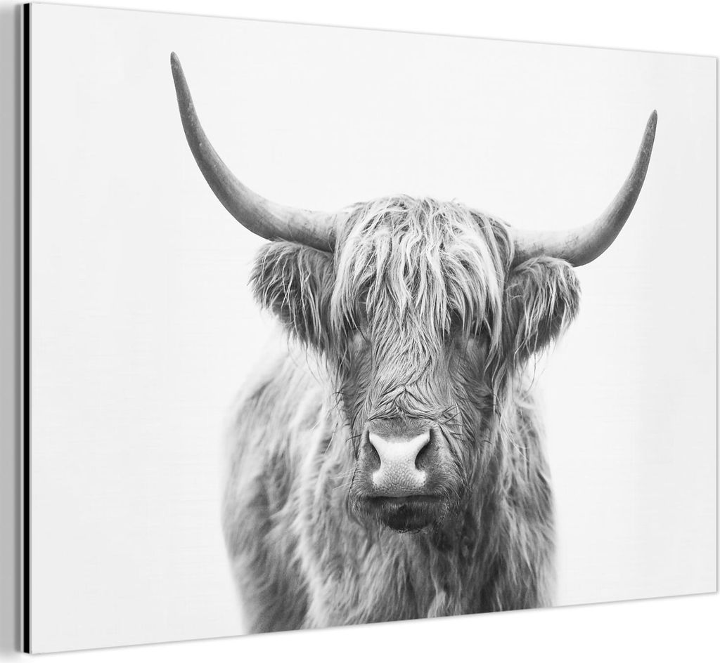 MuchoWow Wanddekoration Metall Metallbild Wandkunst 150x100 cm Schottisches Hochlandrind - Tiere - Hörner - Schwarz und weiß MuchoWow Aluminium G...