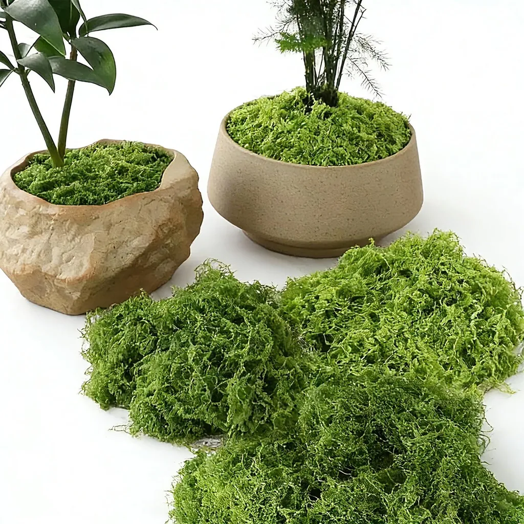 Mousse artificielle pour décoration de bonsaï et terrarium DIY lot 200g