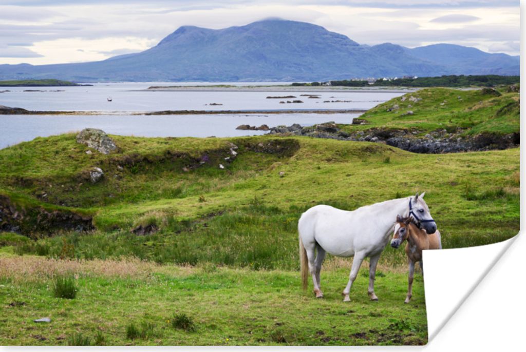 MuchoWow Poster Mutterpferd und Fohlen in Irland 60x40 cm - Schlafzimmerdekoration