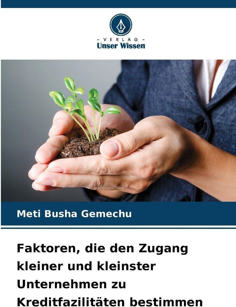 Faktoren, die den Zugang kleiner und kleinster Unternehmen zu Kreditfazilitäten bestimmen