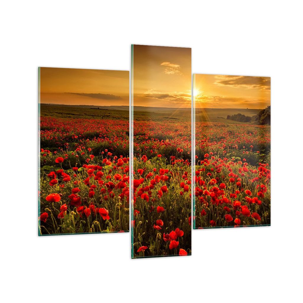 Bilder auf glas - Mohn Blume Wiese - 95x80cm - Glasbilder - Wandbilder - Kunstdruck - zum Aufhängen bereit - Wanddekoration aus Glas - Glas Bilder...