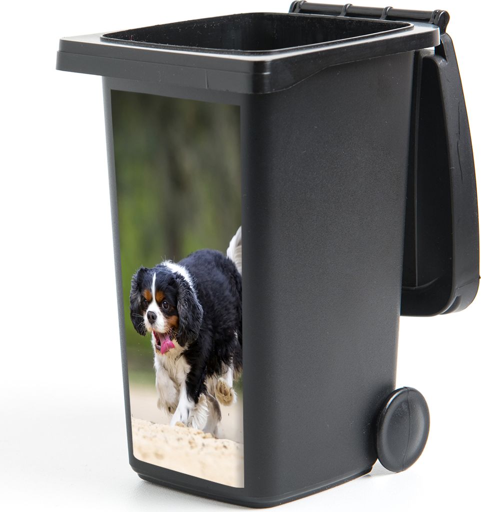 MuchoWow Mülltonnenaufkleber Ein Cavalier King Charles Spaniel spielt mit einem Tennisball 38x80 cm - Behälteraufkleber - Mülleimer-Aufkleber ...