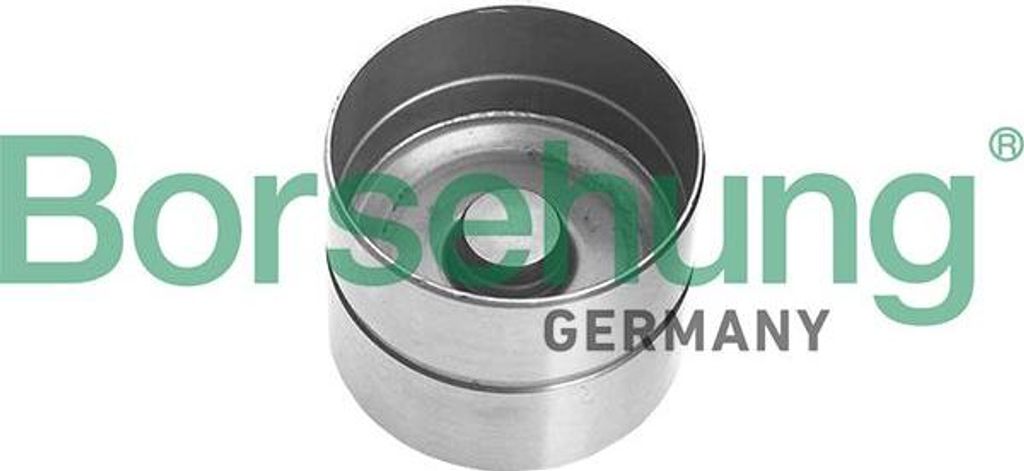 Borsehung B18836 Ventilstößel OE 050109309J kompatibel mit A3 8L, A4 8D, A6 4A, Alhambra, Arosa, Cordoba, Ibiza, Inca, Leon, Toledo, Fabia, Felic...