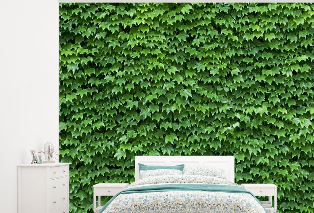 MuchoWow Fototapete für Wohnzimmer oder Schlafzimmer Wandtapete Vinyl Motivtapete Wand aus Giftefeu - 375x300 cm - Tapezierpapier