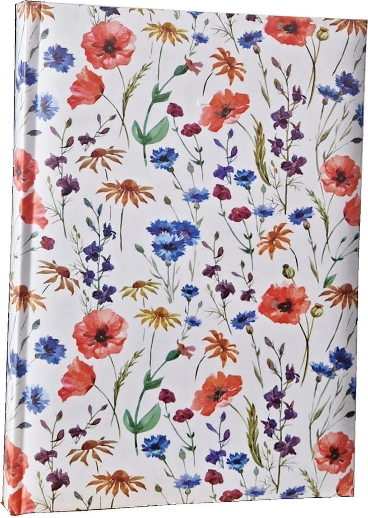 MEADOW fotoalbum zasouvací BB-300 10x15 Obrázek produktu 