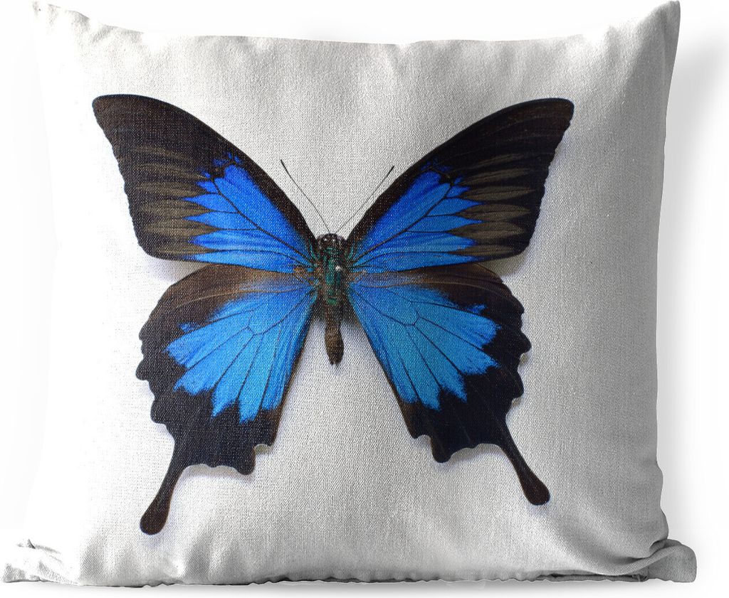 MuchoWow Outdoor Kissen - Schmetterling - Insekten - Blau - 45x45 cm - Wetterfest - Lounge Kissen - Kissenbezüge - Dekokissenbezug - Zierkissenb...