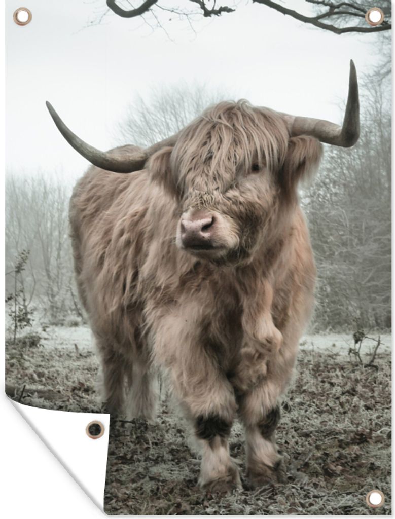 MuchoWow 30x40 cm Outdoor-Poster Gartendeko Sichtschutz Garten Poster für den Garten Schottischer Highlander - Wald - Nebel - Kuh - Tiere - Natur