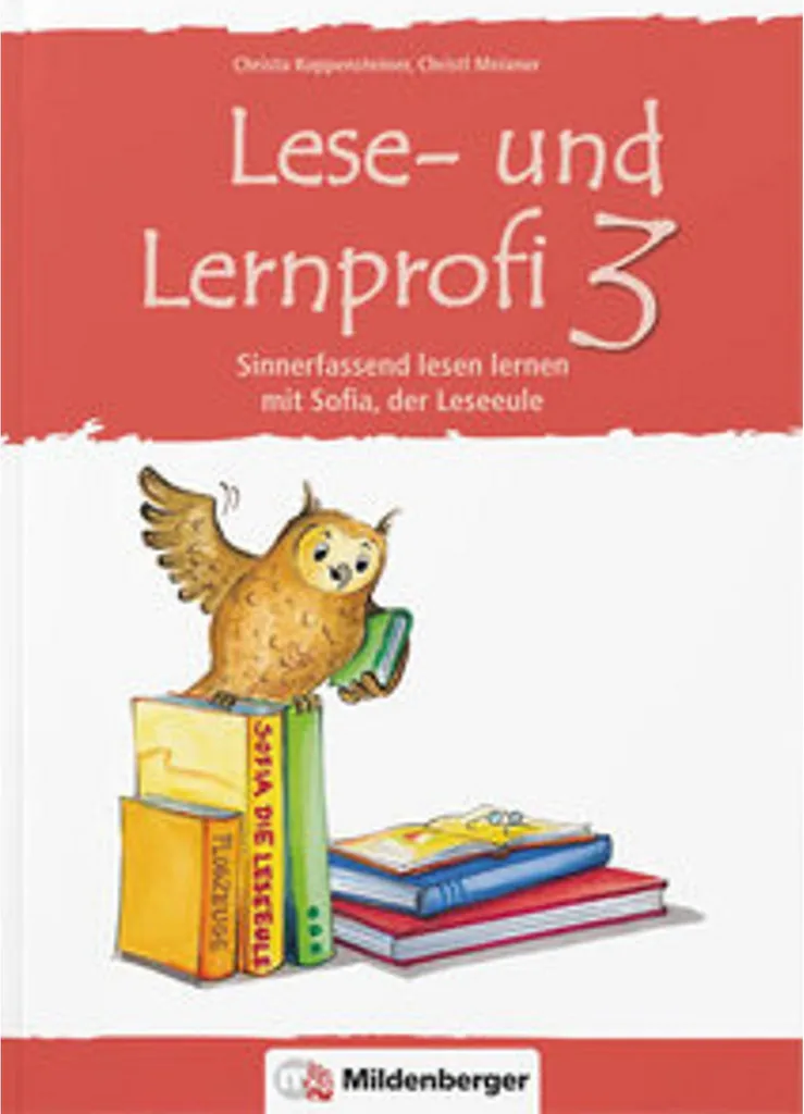 Lese- und Lernprofi 3 : Cahier de lecture méthodique pour l'allemand