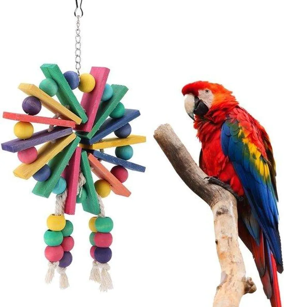 Roue géante à mordiller pour oiseaux : Jouet suspendu pour perruches