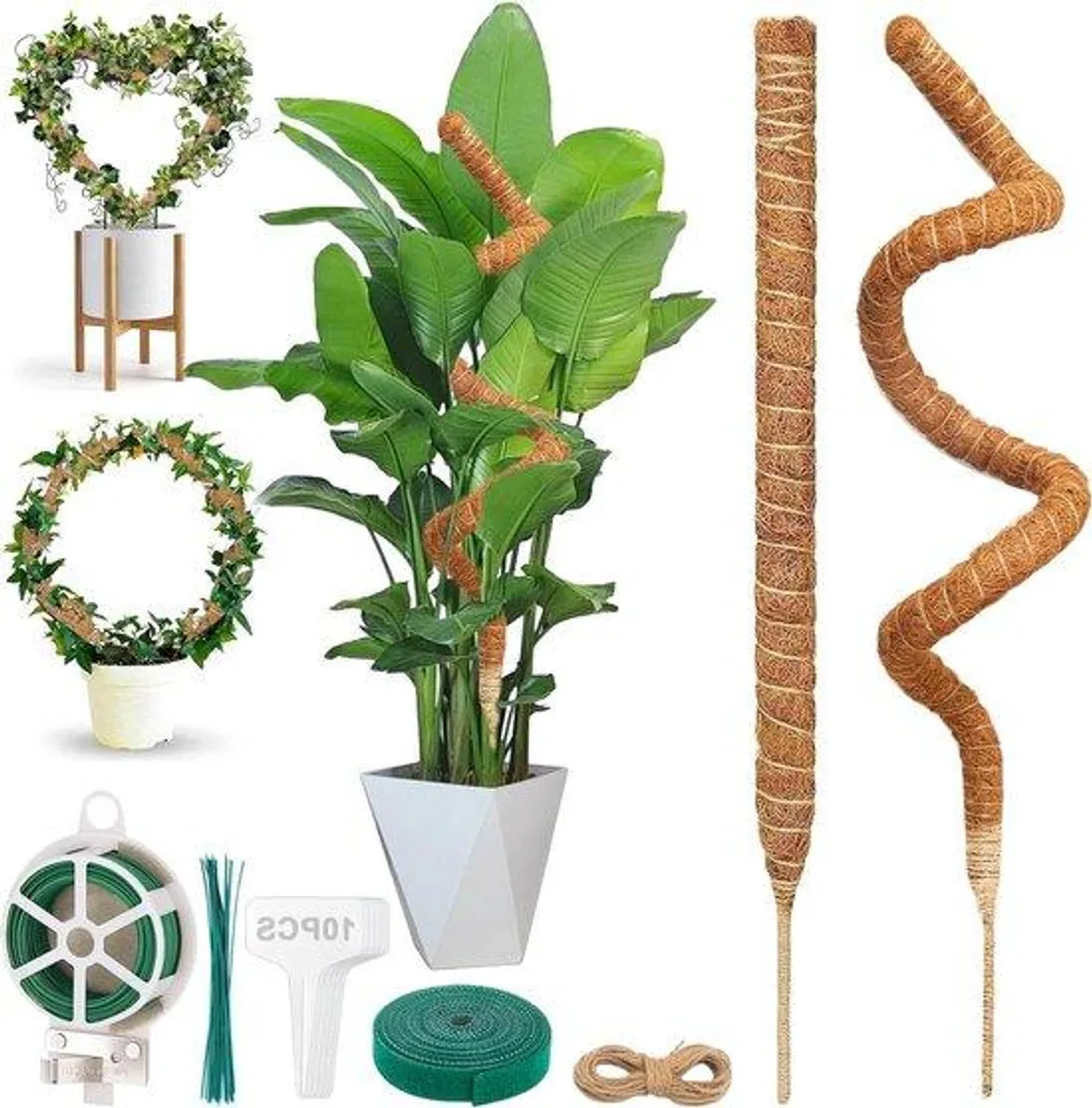 Support pour plantes de 160 cm et 7 mm pour tuteurs en fibre de coco