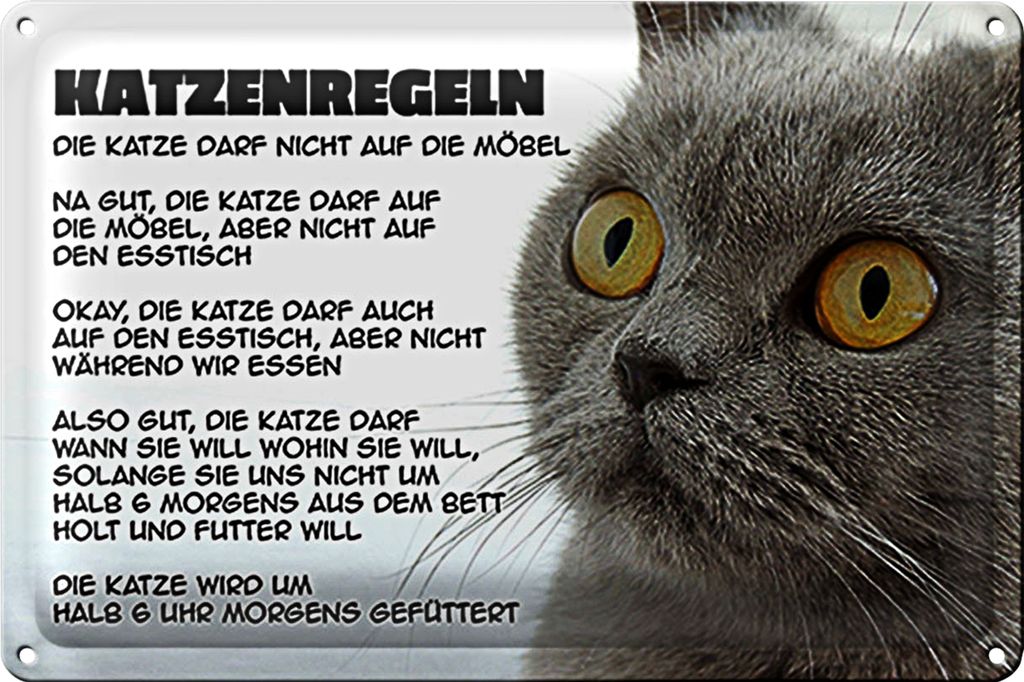 Blechschild Spruch 18x12cm Katzenregeln Katze darf nicht