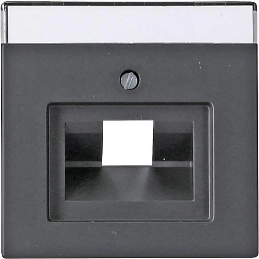 Plaque centrale Busch-Jaeger future pour cacher prise UAE 1f - 2