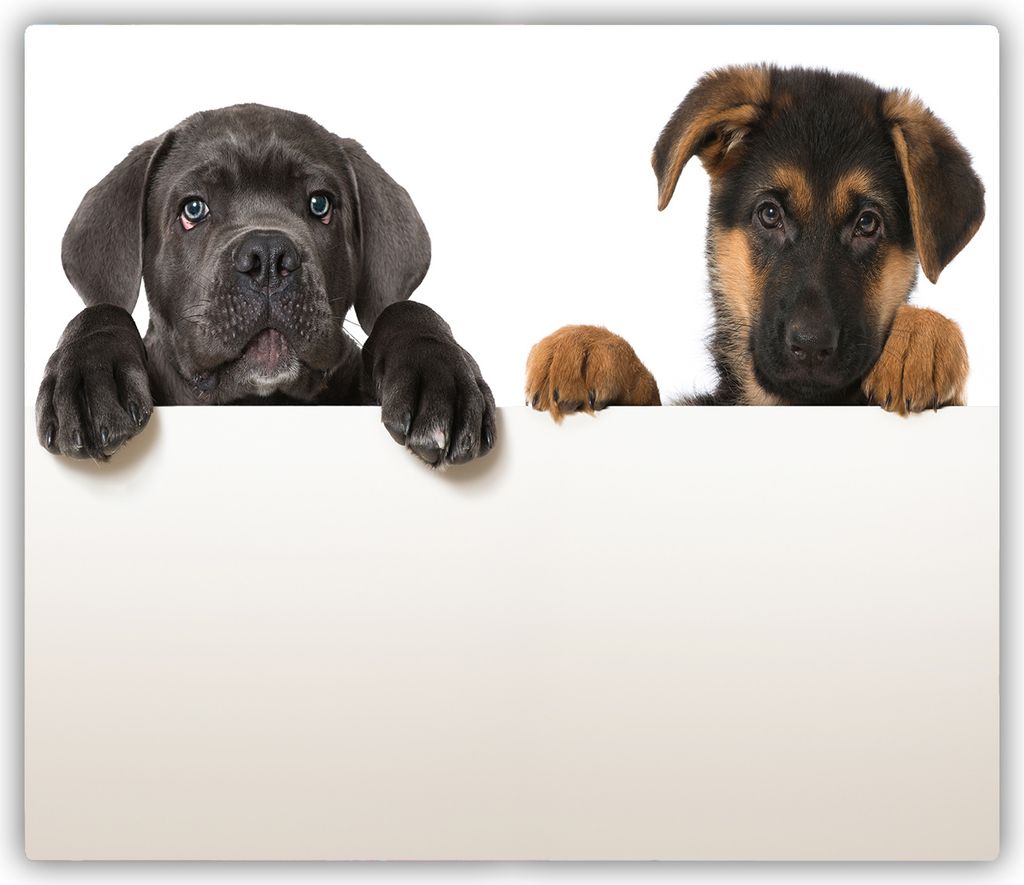 Tulup Glas Herdabdeckplatte Glaskeramikkochfeld-Abdeckung Spritzschutz Glasabdeckplatte Kochplattenabdeckung und Schneidebrett - Einteilig - 60x52 ...