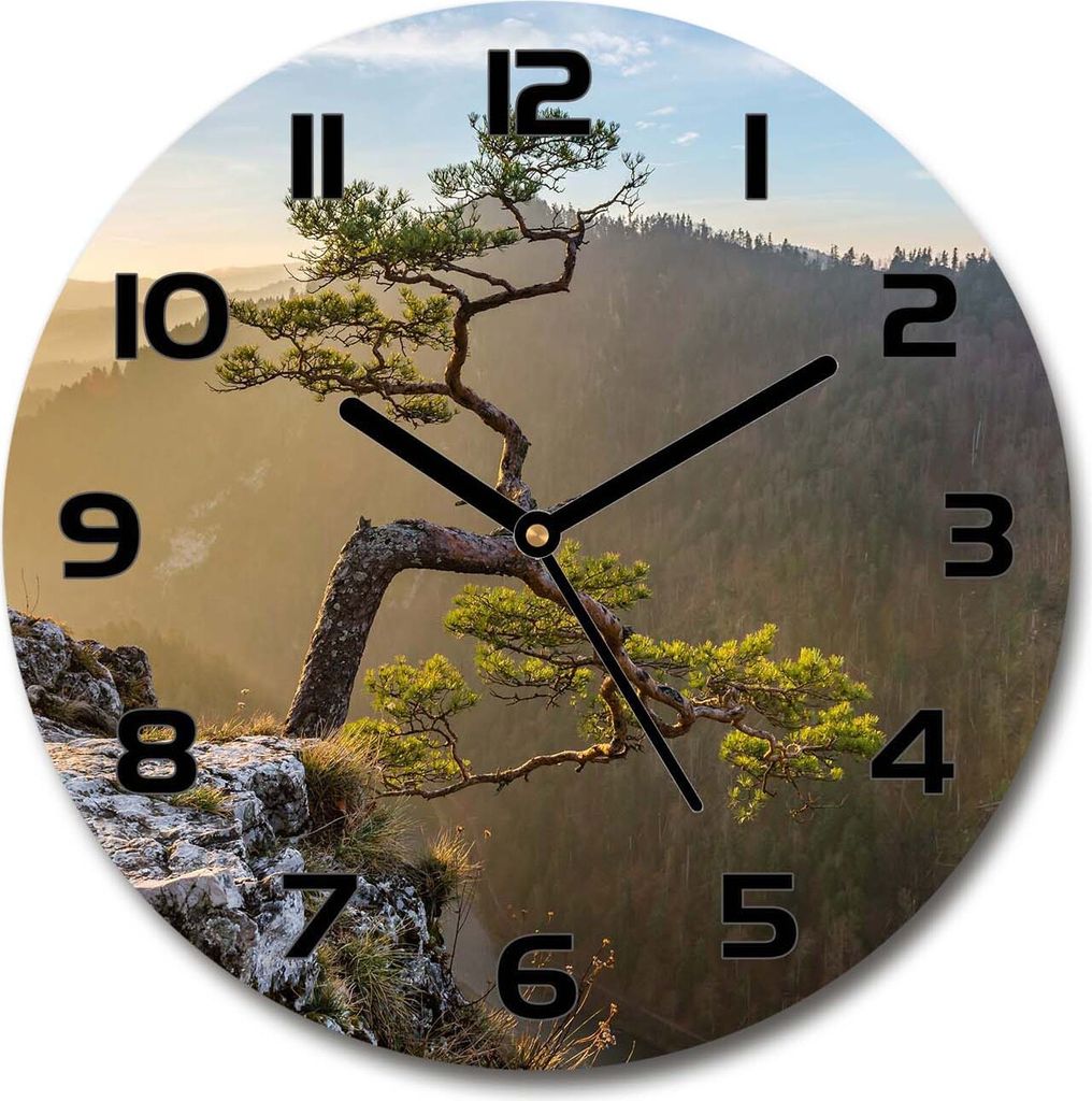 Wanduhr aus Glas 30fi Glasbild Glasuhr Gehärtetes Glas - schwarze-zeiger - Sokolica Pieniny