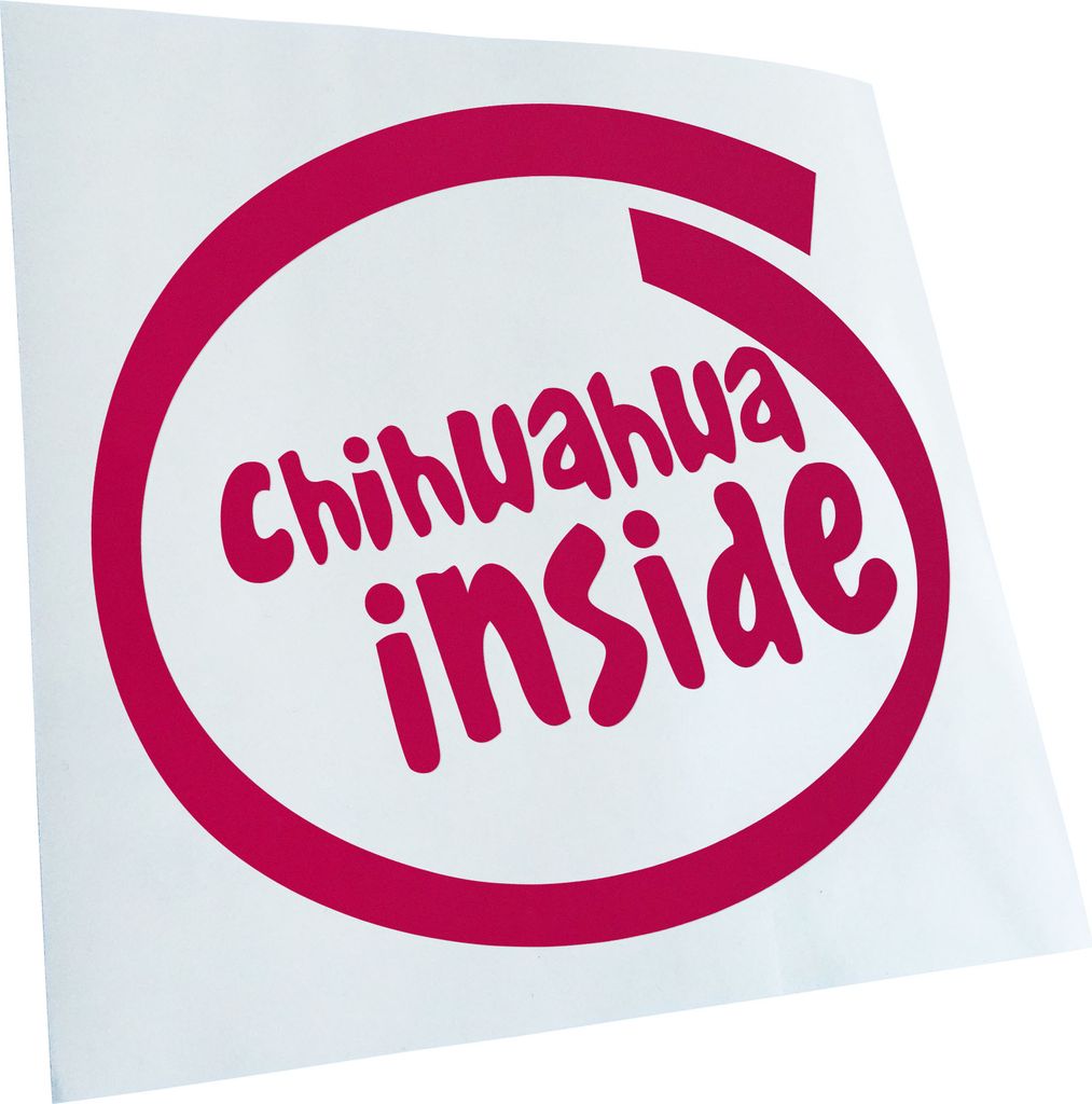 Kiwistar - Autoaufkleber - pink - 40 x 40 cm - chihwahwa Inside - Heckscheibenaufkleber - Aufkleber für Auto Kfz Fahrrad, LKW, Truck Mofa