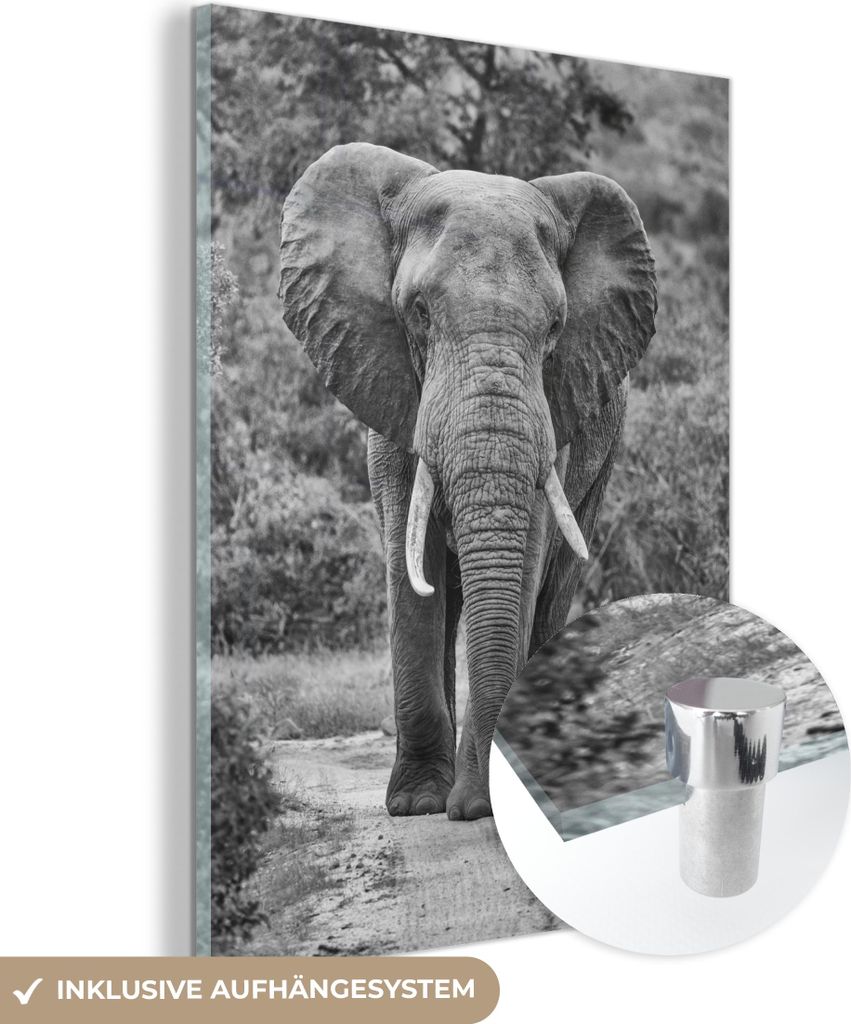 MuchoWow Glasbilder - Bilder auf Wandbild - Foto auf Glas Elefant schwarz und weiß zentriert 60x80 cm Wanddekoration aus Glas - Acrylglasbild - Ac...