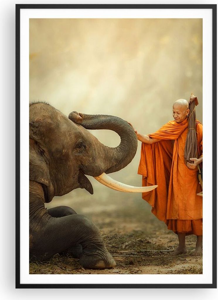 Gerahmtes Poster - Schwarzer Rahmen - Elefant Mönch Stoßzahn - 70x100 cm - Wand Bild - Wanddeko - Wandbilder - Wandposter - Bilderrahmen - Bilder...