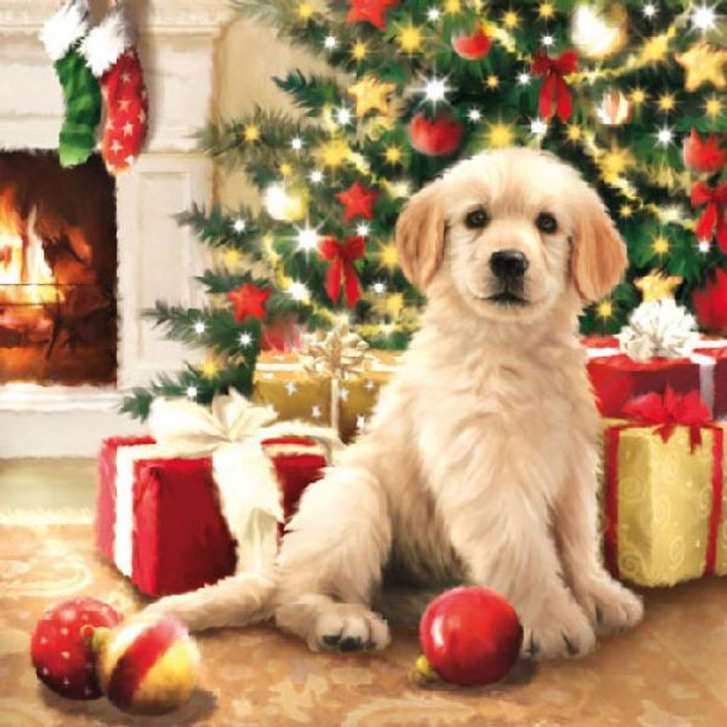RP 20 Servietten Waiting for Presents - Hund an Produktbild 