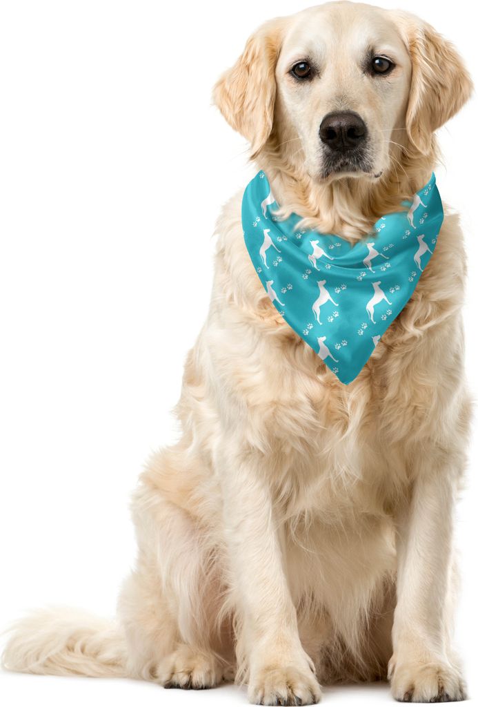 ABAKUHAUS Hundeliebhaber Haustier Bandana, Hund und Paw Silhouetten, 40x40 cm, Türkis Weiß