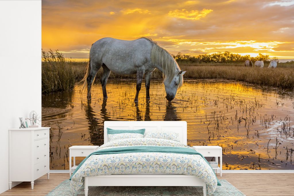 MuchoWow Fototapete für Wohnzimmer oder Schlafzimmer Wandtapete Vinyl Motivtapete Pferde trinken bei Sonnenuntergang in der Camargue - 525x350 c...