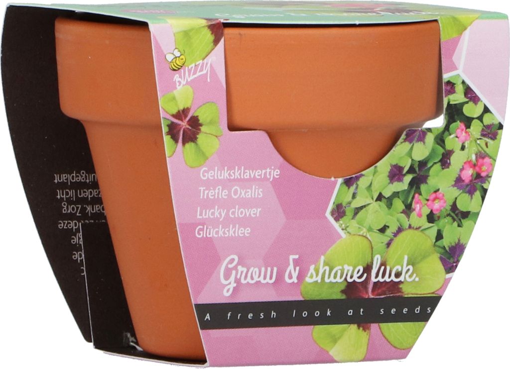 Anzuchtset Glücksklee | Anzuchtsets von Buzzy Gifts