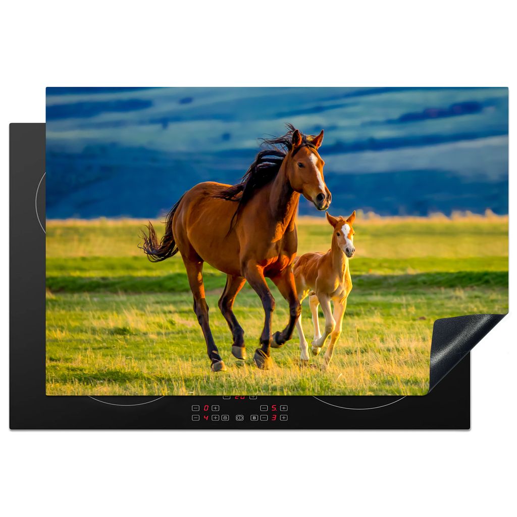 KitchenYeah Herdabdeckplatte Pferde - Gras - Tiere - Landschaft - Natur , 78x52cm, Küche Deko, Glaskeramikkochfeld Herdabdeckung, Abdeckplatte f...