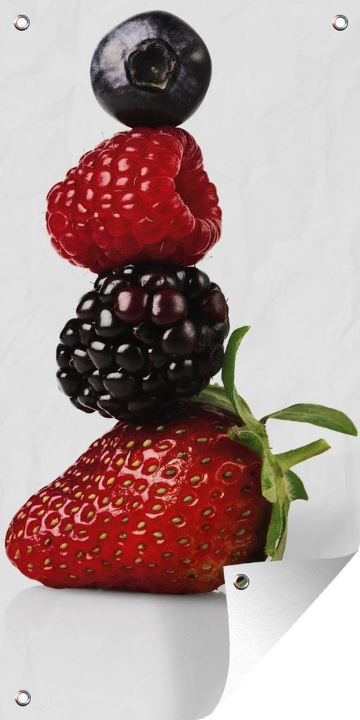 MuchoWow 30x60 cm Outdoor-Poster Gartendeko Sichtschutz Garten Poster für den Garten Obst - Rot - Himbeere