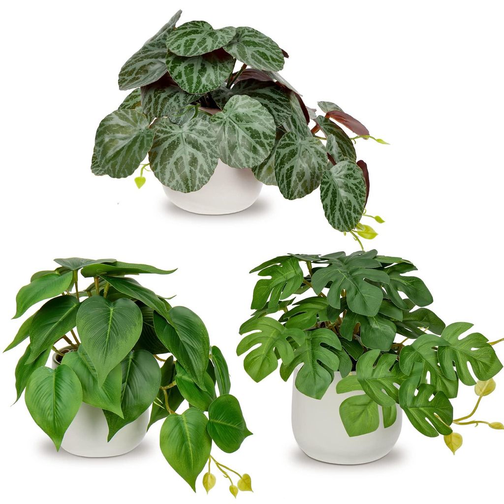 Set mit 3 künstlichen Hängepflanzen in Keramiktöpfen: Mini-Monstera und Philodendron, moderne Dekoration für Zuhause, Büro, Badezimmer, Küche...