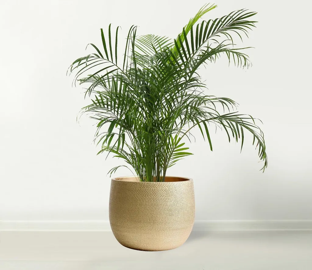 Pot de fleurs intérieur et extérieur 25cm doré Barcelona pour déco chic