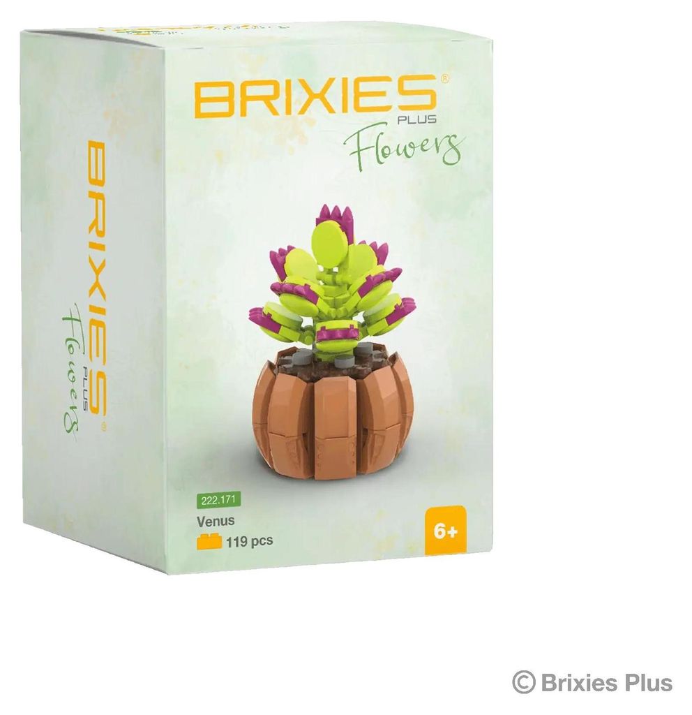 Schäfer Brand DistributionGmbH BRIXIES Plus Mini Blume ''Venus'' Sonstige