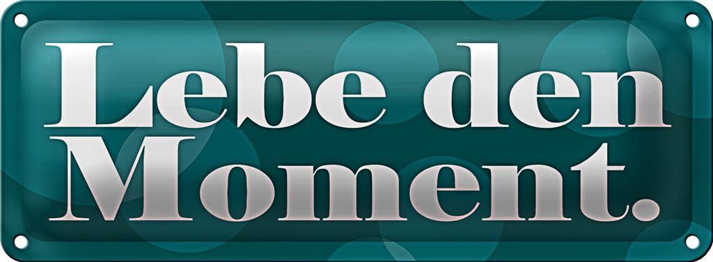 Blechschild Spruch 27x10cm Lebe den Moment Dekoration