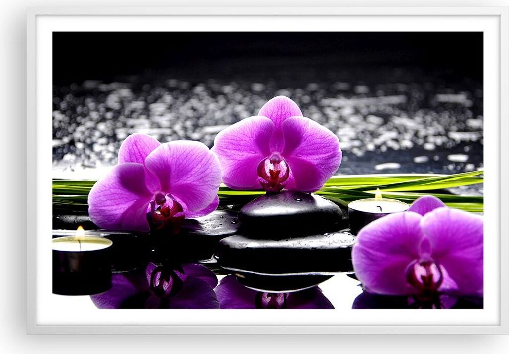 Gerahmtes Poster - Weißer Rahmen - Orchidee Natur Wasser Blume - 91,5x61 cm - Wand Bild - Wanddeko - Wandbilder - Wandposter - Bilderrahmen - Bild...